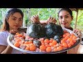 Yummy cooking turtle soup with egg recipe - Natural Life TV