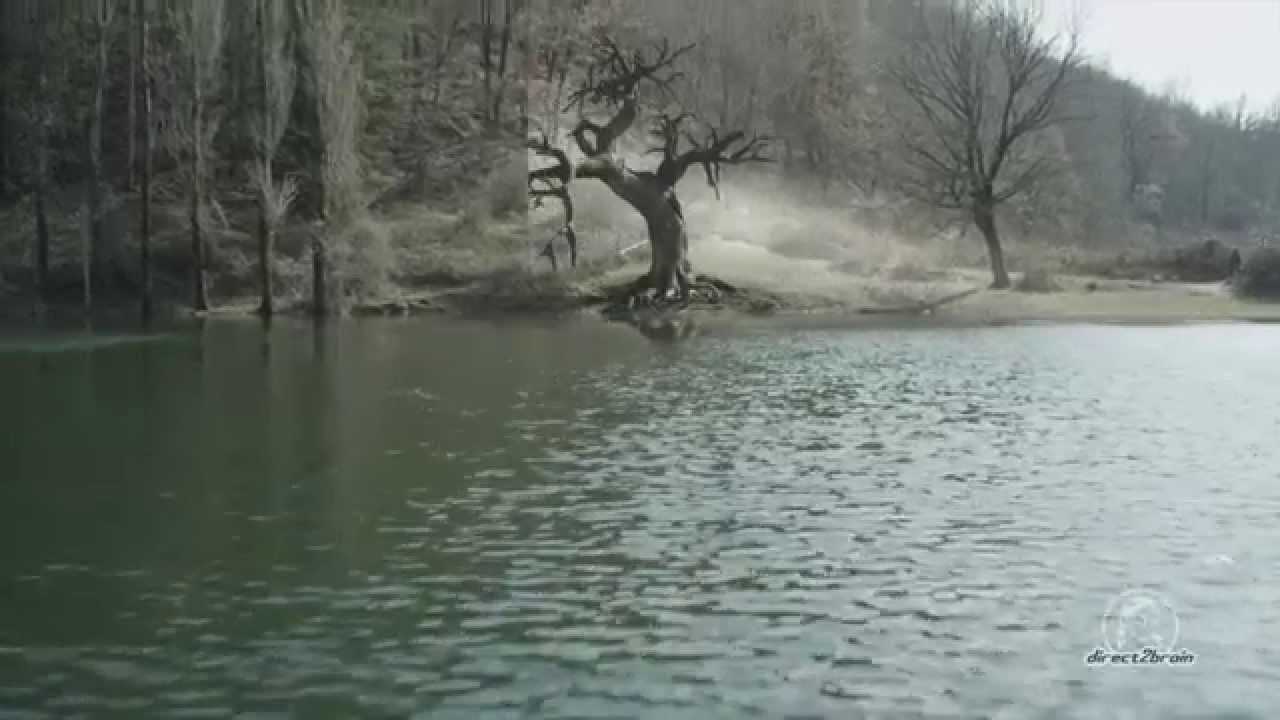 Neverlake Neverlake