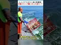 ルイジアナのカニ漁が大豊作！ 大量のカニが船にあふれ出す！？ #カニ漁 #ルイジアナ #漁師 #海の仕事 #漁業体験