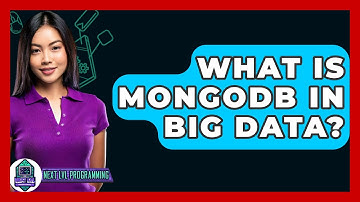 What Is MongoDB In Big Data? - Next LVL Programming