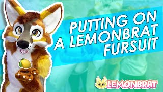 How To Wear A Lemonbrat Fursuit