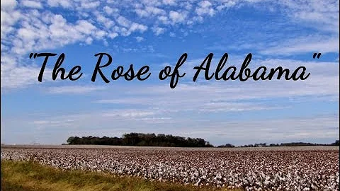 THE ROSE OF ALABAMA - 1846 - Performed by Tom Roush
