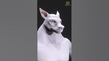 CC4 - CWS Wolf Morph Face Rig #charactercreator #gamecharacter #charactercreation #3danimation #3d