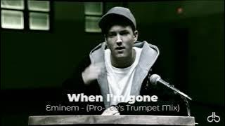 Eminem - When im gone (Pro-Tee's Trumpet Mix)