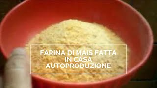 FARINA DI MAIS FATTA IN CASA autoproduzione