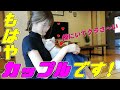 [茶トラ子猫]可愛い子猫と日向ぼっこしながらイチャイチャします…♡（保護猫）