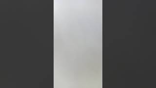 Mahmelo Lógica Everyday