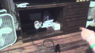 Capture 20130804 1
