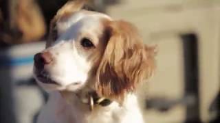 Celebrity Pheasants Forever’s 2016 Rooster Road Trip: Day 1 – South Dakota Profile