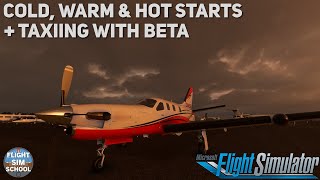 A Typical Flight In The TBM850 (Part 1): Hot Starts & Beta Explained