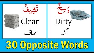 30 Words and Their Opposites | Words and Opposites | Arabic Antonyms