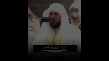 ﴿أفَرَأَيتَ الَّذي كَفَرَ بِآياتِنا وَقالَ لأوتَيَنَّ مالًا وَولَدًا﴾ من سورة مريم ماهر المعيقلي 🤍.