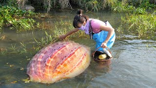 🥰🐚Treasures hidden at the bottom of the river, beautiful pearls nurtured by mutated giant clams