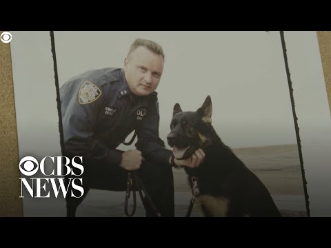 Video: Pet Scoop: Ultimele 9/11 Căutarea câinelui moare la 16 ani, ofițerul NYPD adoptă pisicuța salvată