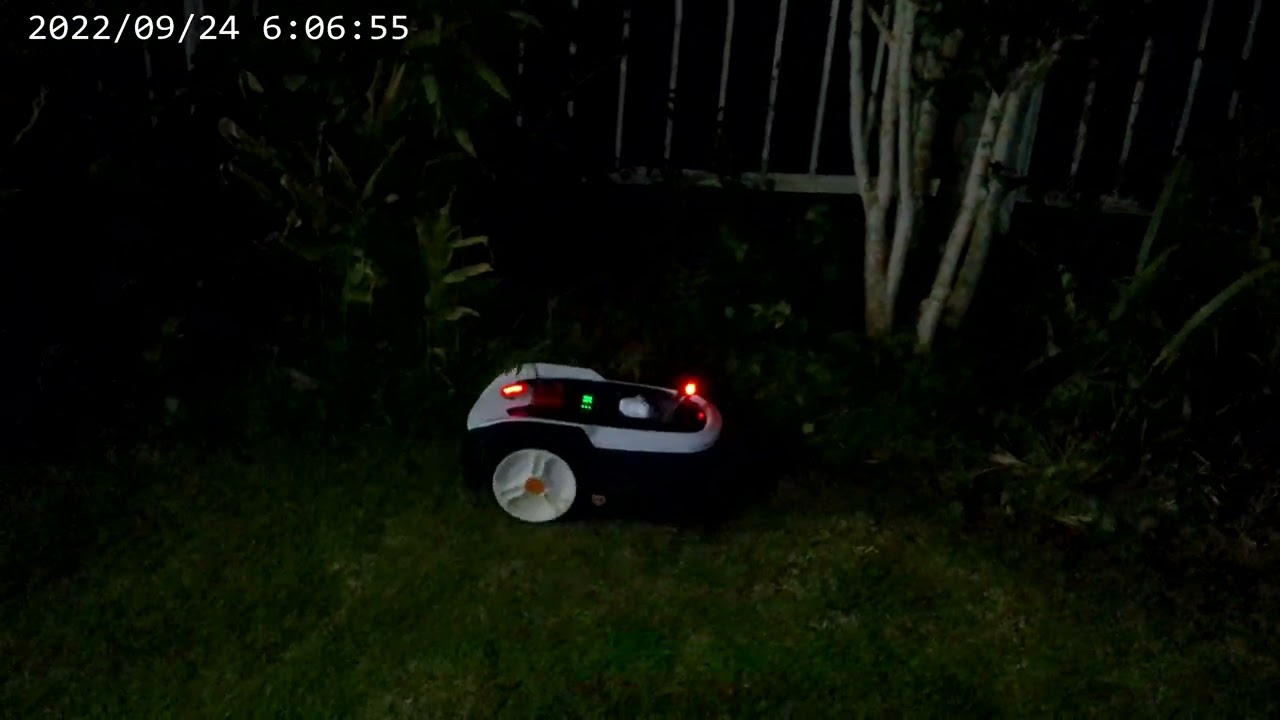 夜間作業を終えお家に帰る芝ちゃん一号でした。