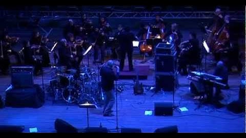 Official: Fish in Plovdiv 2 of 4 - A Gentleman