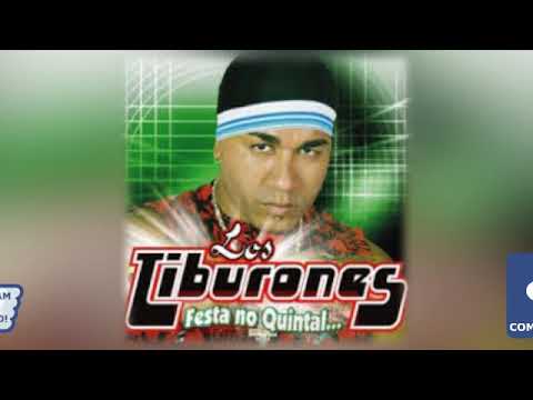 Los Tiburones - Festa no Quintal