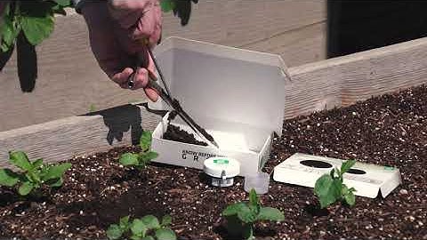 How To Take a Soil Sample | Soil Testing