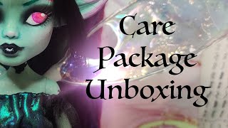 Unboxing | Xmas Care Package | Doll Swap | Aurora Borealis