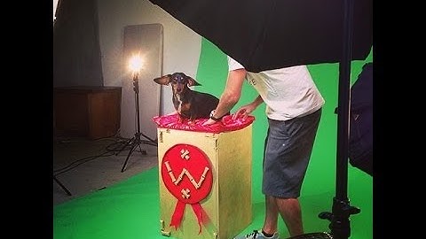 Contact sheets in CS6