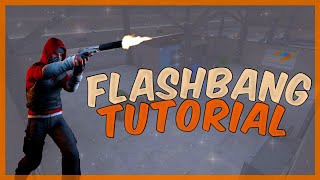 How to Properly use Flashbangs | Critical Ops Academy Episode #3 screenshot 5