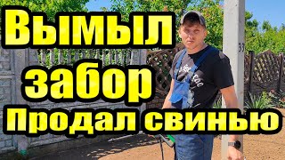 Вымыл забор / Продал свинью / Рабочие будни 10