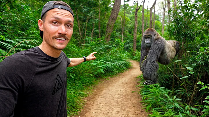 5 Hours with Wild Mountain Gorillas (World's Best Wildlife Encounter?) thumbnail