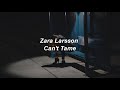 Zara Larsson - Can&#39;t Tame Her (Lyrics)