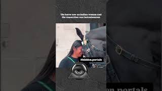 The Horse Saw An Indian Woman And The Connection Was Instantaneous