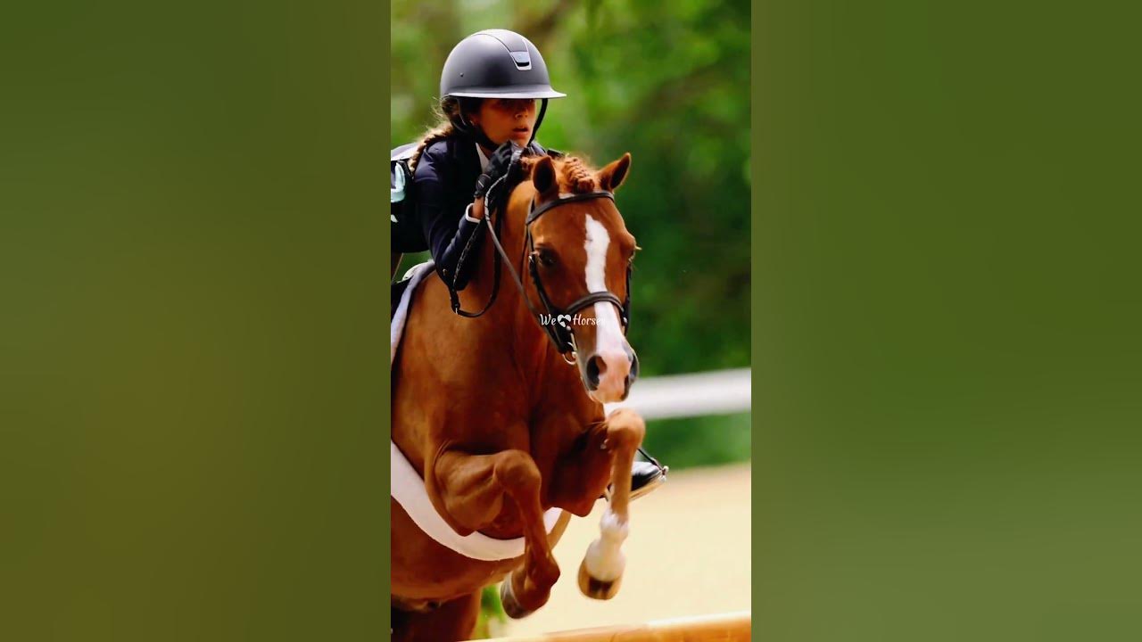 It’s Pony Finals Week 🐴🥳 YouTube