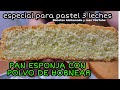 PAN ESPONJA CON POLVO DE  HORNEAR Y DIFERENTE TECNICA| Recetas Aleliamada