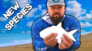 UNEXPECTED New Species From The Surf | Atlantic Beach, NC