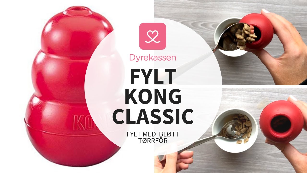 KONG Classic med bløtt tørrfôr | Dyrekassen.no