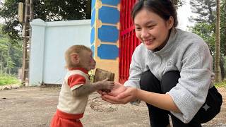 Monkey Bibi's Sweet Way to Take Care of His Mother