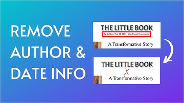 How to Remove Author and Date Info from Your WordPress Posts | WordPress Tips and Tricks 2022