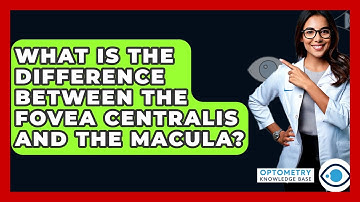 What Is The Difference Between The Fovea Centralis And The Macula? - Optometry Knowledge Base