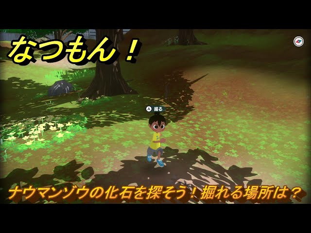 なつもん！ ナウマンゾウの化石を探そう！掘れる場所は