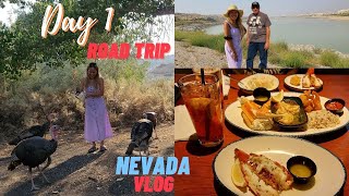 DAY 1 ROAD TRIP VLOG | NEVADA USA +FEEDING WILD ANIMALS | RufaReed Lifestyle