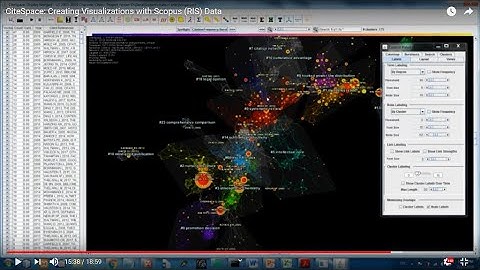 CiteSpace: Creating Visualizations with Scopus (RIS) Data