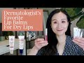 Dermatologist Shares The Best Lip Balms for Dry, Cracked Lips! | Dr. Jenny Liu