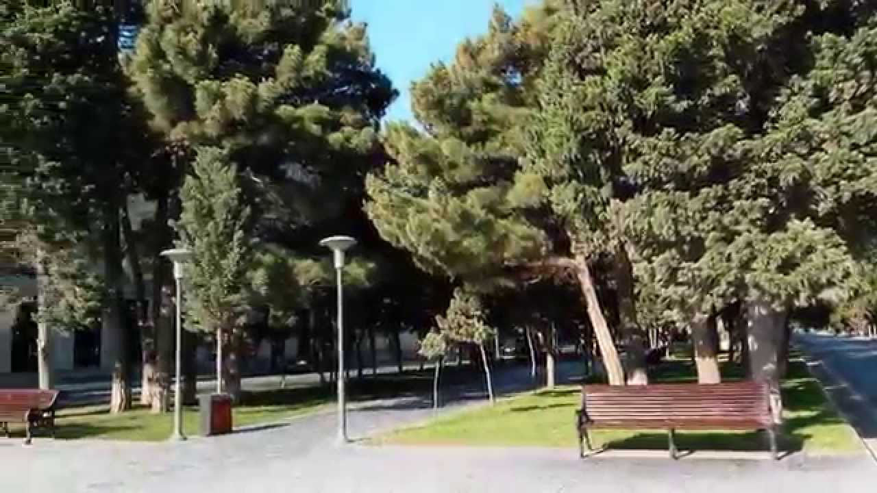 Пляжи в сумгаите