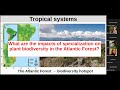 The evolution of ecological specialization and its consequences in Neotropical systems