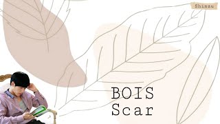 BOIS - Scar [Secret Garden OST] Han/Rom/Idn Lyrics