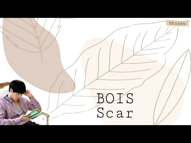 BOIS - Scar [Secret Garden OST] Han/Rom/Idn Lyrics class=