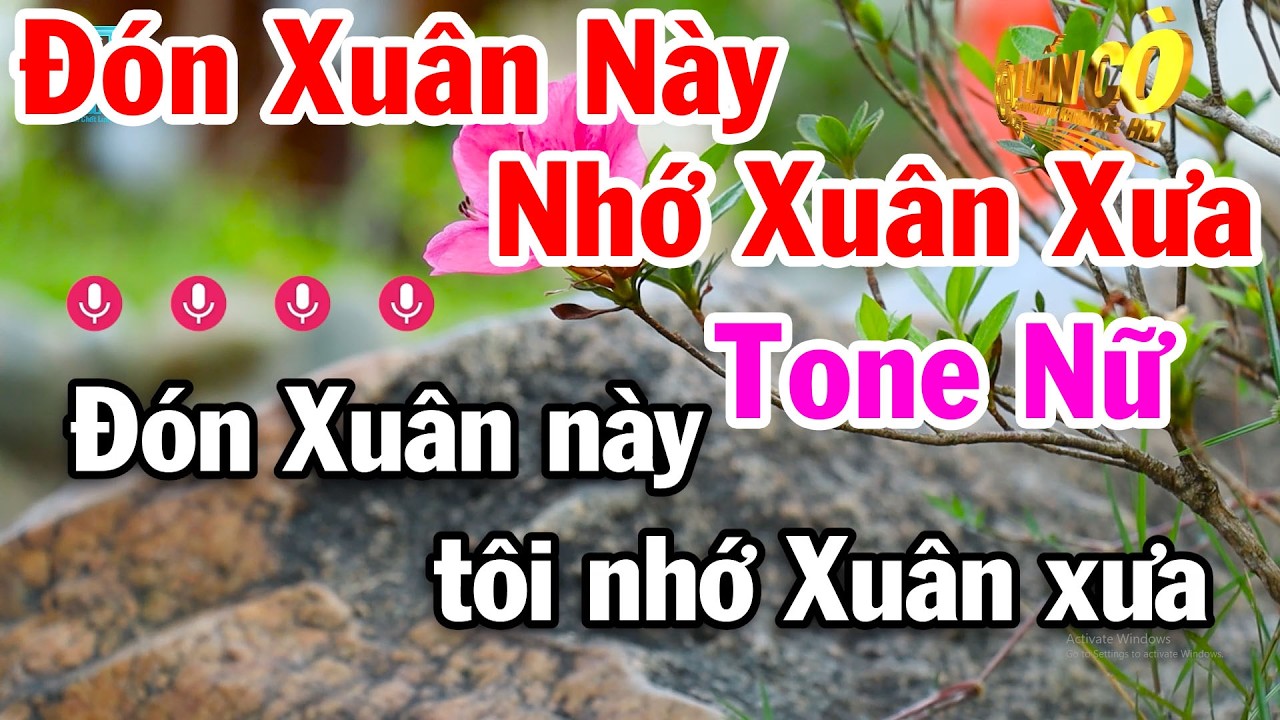 Karaoke Đón Xuân Này Nhớ Xuân Xưa Tone Nữ 2026 Tuấn Cò