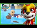 Mighty Pups save Adventure Bay from Harold Humdinger! | PAW Patrol Episode | Cartoons for Kids