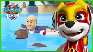 Mighty Pups save Adventure Bay from Harold Humdinger! - PAW Patrol Episode - Cartoons for Kids