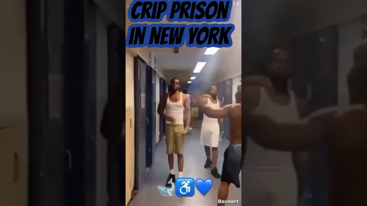 83 Gangster And Rollin 60s Take Over New York Jail