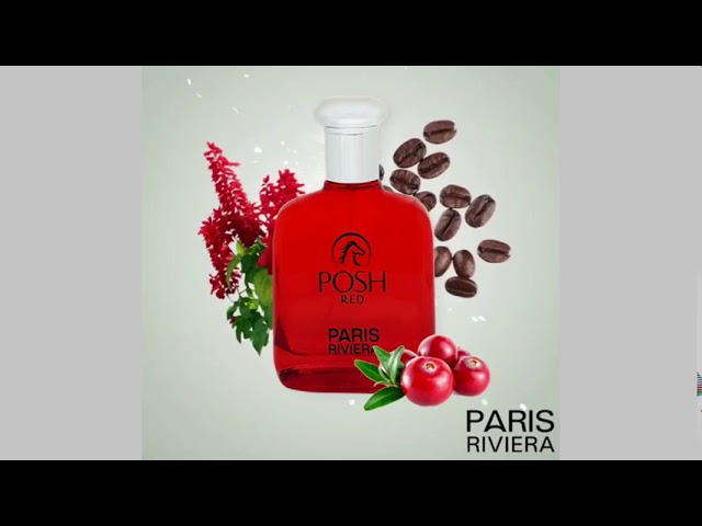 POSH RED POUR HOMME 100ML EDT BY PARIS RIVIERA