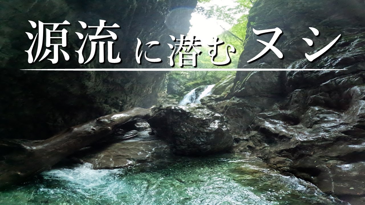 “源流大アマゴ”が潜む、神秘の渓谷へ…！【2024年最終釣行】